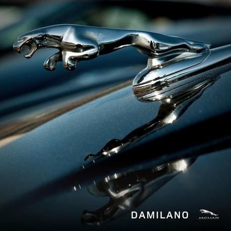 DAMILANO EXPERIENCE CAR SRL - Cuneo | Subito