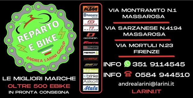Andrea Larini Group Srl - Massarosa | Subito