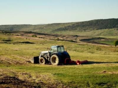 Diano Occasioni di Cardiello Antonio - Atena Lucana | Subito