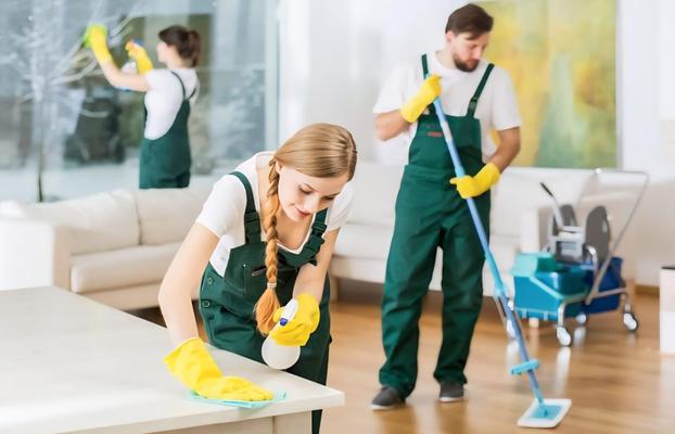 Mieli Service Srl - Tavagnacco | Subito