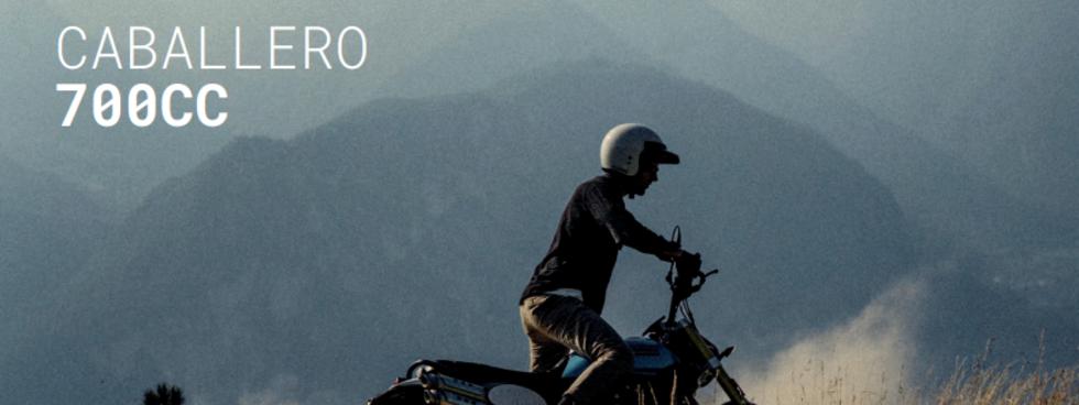 Gambino Store Palermo