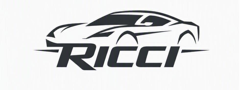 RICCIAUTOSRLS