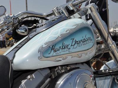 S.G. CUSTOM - Reggio di Calabria | Subito