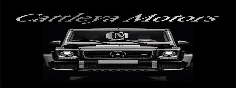 CATTLEYA MOTORS DI CARAVOTTA PINO