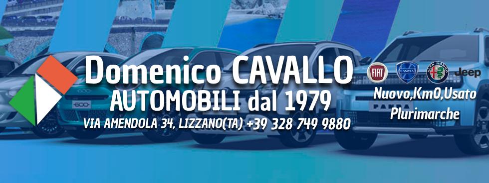 CAVALLO DOMENICO AUTOMOBILI