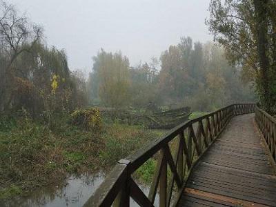 TECNOCASA - CIVICO9 SAS - Casale sul Sile | Subito