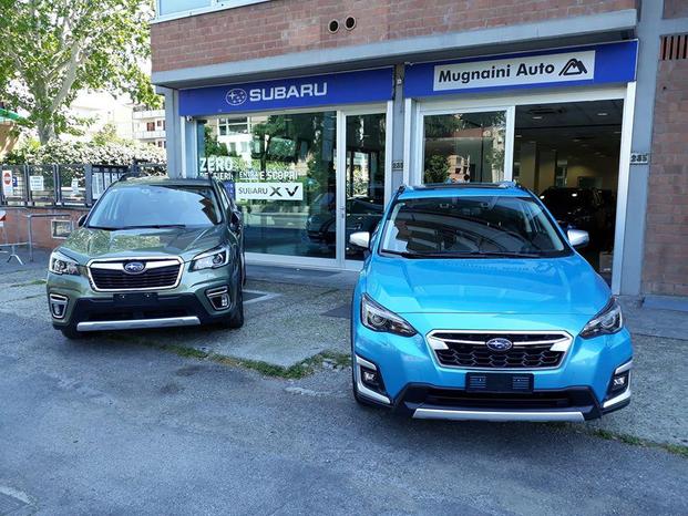 MUGNAINI AUTO SRL - Firenze | Subito