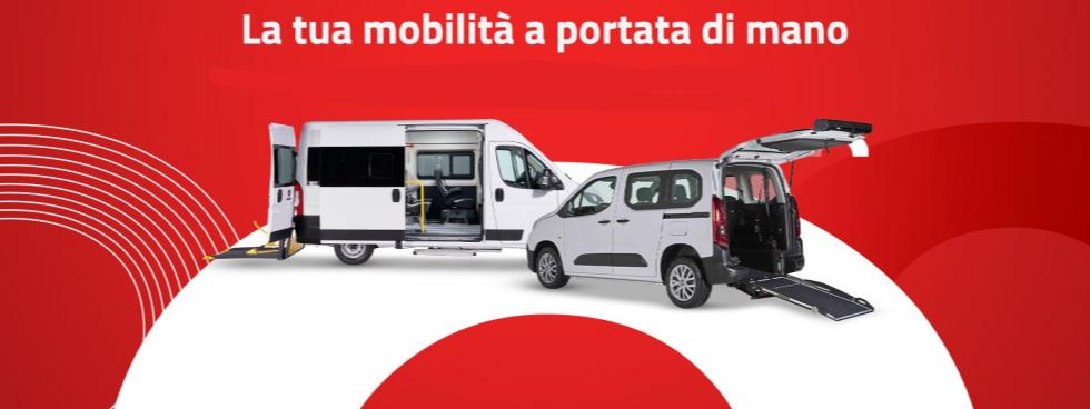 OLMEDO USATI TRASPORTO DISABILI