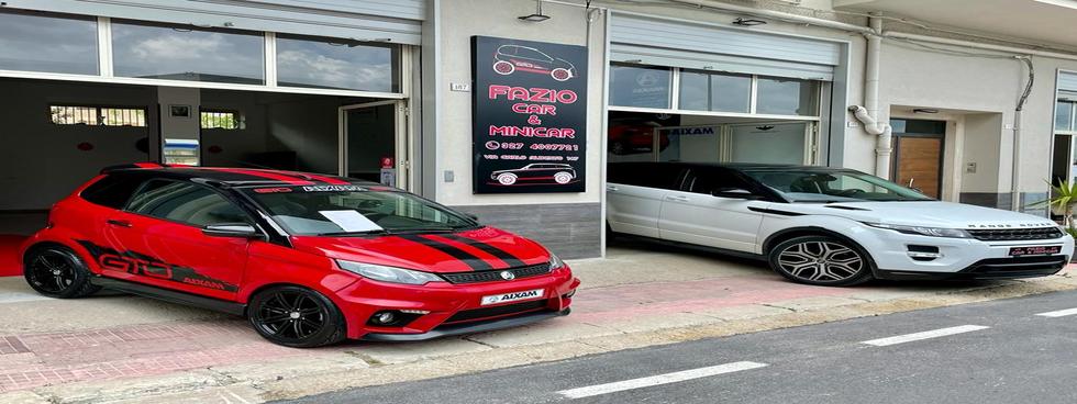 FAZIO CAR & MINICAR