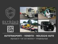 SKYROAD SRL logo