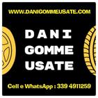 DaniGommeUsate logo
