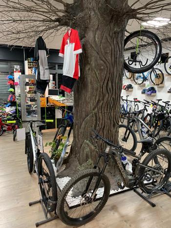TECNOBIKE S.R.L. - Anguillara Sabazia | Subito