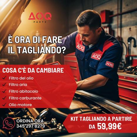 FRATELLI FAZI S.R.L. - Roma | Subito