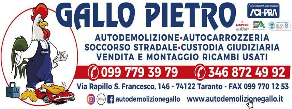 AUTODEMOLIZIONE GALLO PIETRO