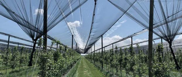 Agroforniture-Impiantistica Irrigazione Drenaggio - Bagnacavallo | Subito