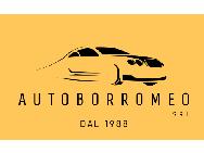AUTOBORROMEO SRL logo