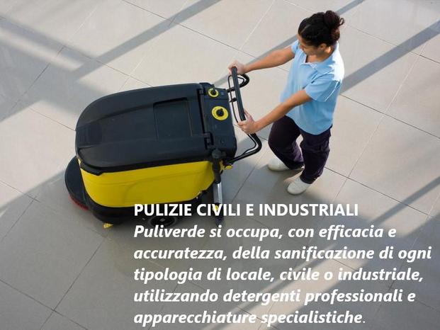 PULIVERDE Srl - Venezia | Subito