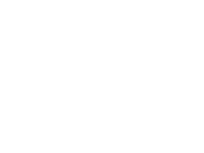 DI LEO FRANCO PNEUMATICI S.R.L. logo