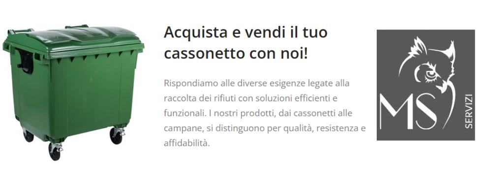 MS SERVIZI S.R.L.
