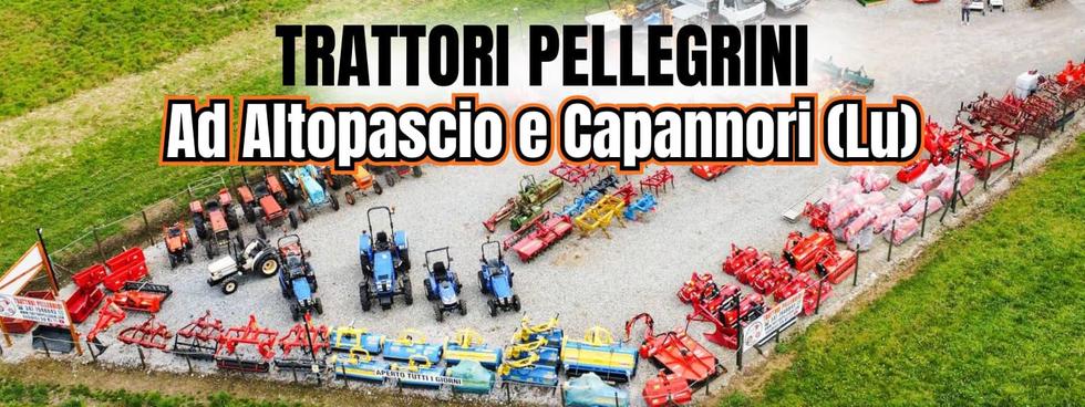 TRACTORS & TRUCKS  di PELLEGRINI GIOVANNI