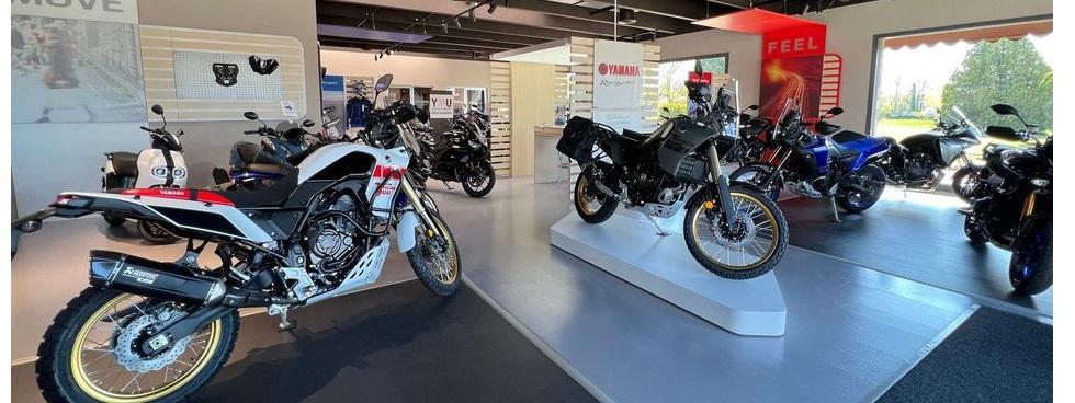 HP Motor Treviso