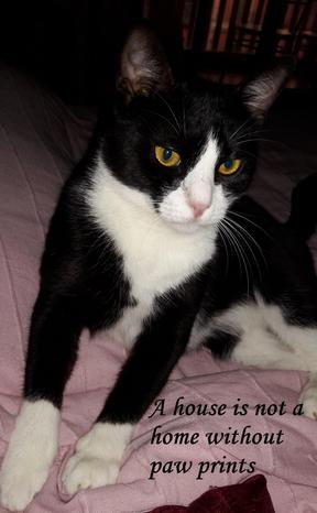 ION BEAM DI NADIA ALBERGO & C. S.N.C. - Misterbianco | Subito