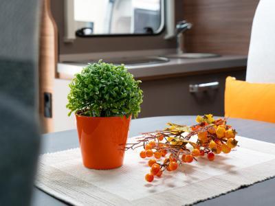 PUNTO CAMPER - Besenello | Subito
