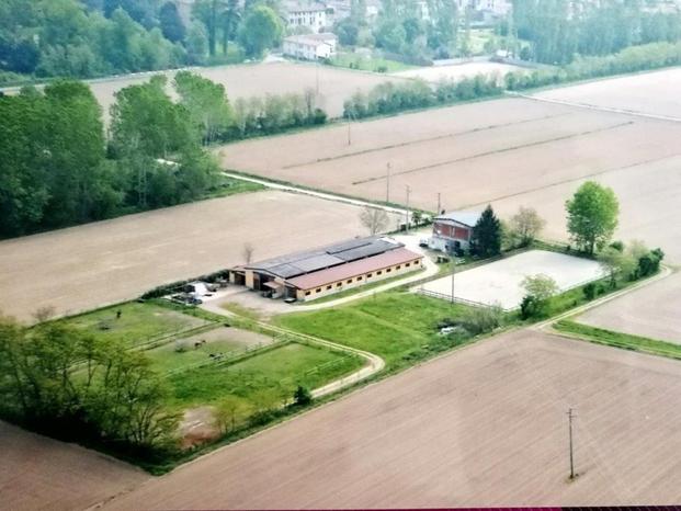 Azienda agricola NERO DI MANTO - Cassinetta di Lugagnano | Subito