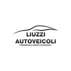 LIUZZI FRANCESCO AUTOVEICOLI logo