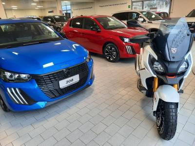 MORCHIO - AUTODORIA S.R.L. - Albenga | Subito