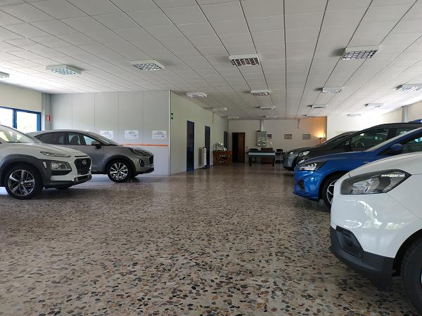 AUTORODELLA S.r.l. - Nizza Monferrato | Subito