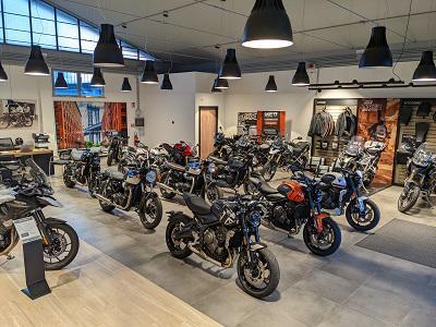 Triumph Rimini - Ruggeri - Rimini | Subito