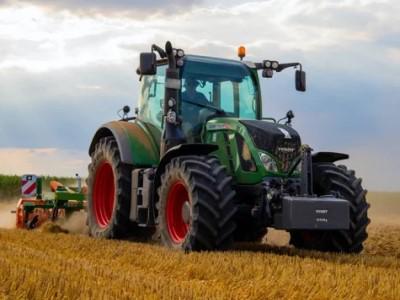 Diano Occasioni di Cardiello Antonio - Atena Lucana | Subito