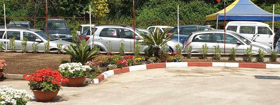 DI. DO. CARS