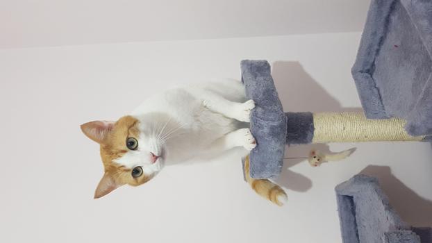 ION BEAM DI NADIA ALBERGO & C. S.N.C. - Misterbianco | Subito