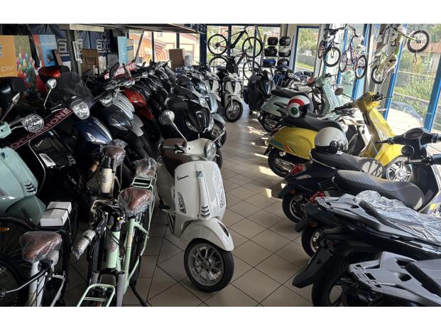 BONUCCELLI LIDIO & C. S.N.C. - Montignoso | Subito