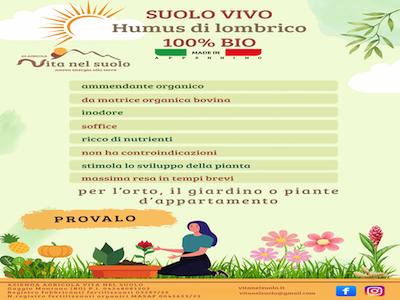 VITA NEL SUOLO - Gaggio Montano | Subito