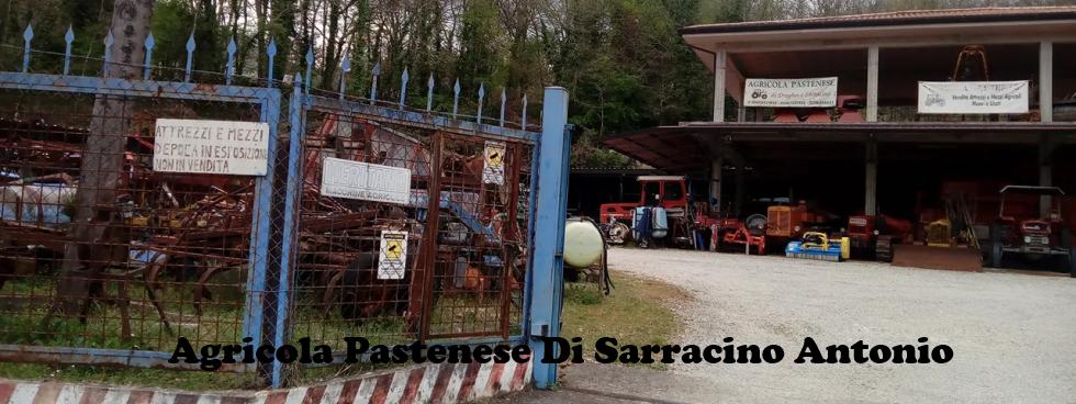 AGRICOLA PASTENESE DI SARRACINO ANTONIO & C. S.A.S