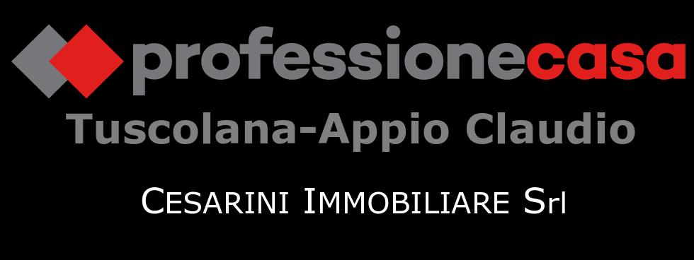 Professionecasa Cesarini Immobiliare Srl