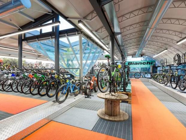 Riccio centro bici - Latina | Subito