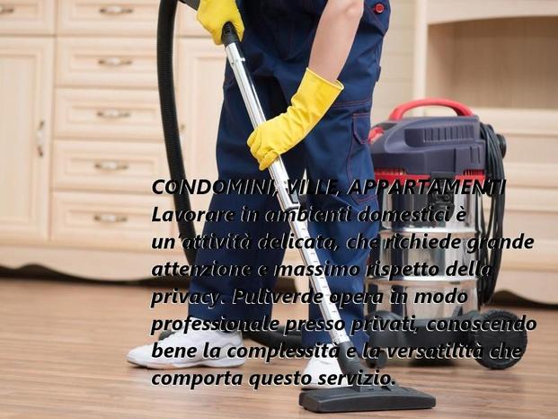 PULIVERDE Srl - Venezia | Subito