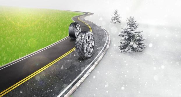 OK GOMME - Rozzano | Subito