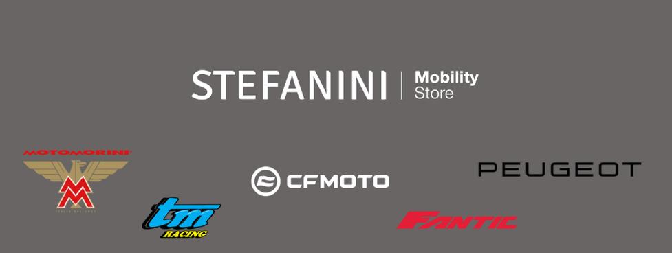 STEFANINI MOBILITY DIVISIONE MOTO