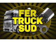 FER TRUCK SUD logo