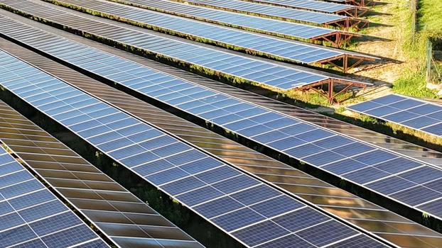 DGF Multiservice and Consulting srl - Taranto | Subito