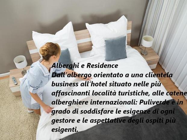 PULIVERDE Srl - Venezia | Subito