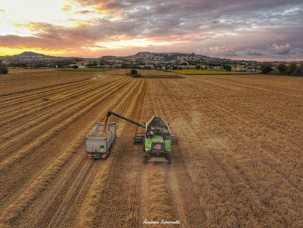PIRANI MACCHINE S.A.S. - Osimo | Subito