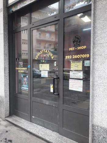 QUA LA ZAMPA - ALLEVAMENTO e TOELETTATURA - Torino | Subito