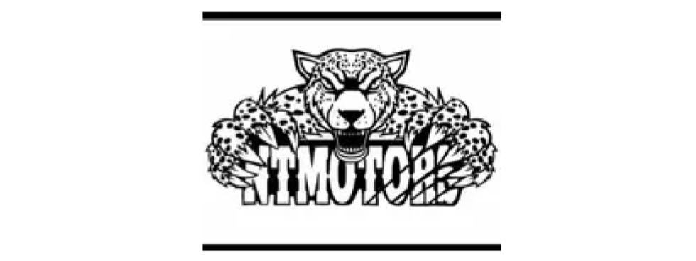 NT MOTORS
