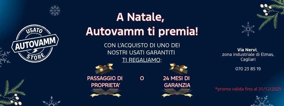 AUTOVAMM STORE USATO